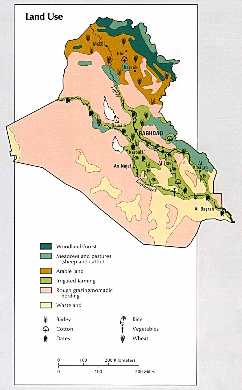 Uso de la Tierra en Irak 1993 Tamaño completo Gifex