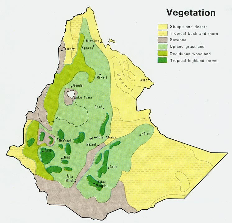 Mapa De Vegetaci N De Etiop A Tama O Completo Gifex