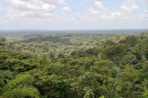 Vue sur la forêt tropicale en direction de Cacao. Vue panoramique depuis la montagne Bellevue en Guyane.