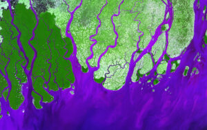 Le delta du Gange est le plus grand delta du monde