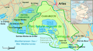 Carte de la Camargue