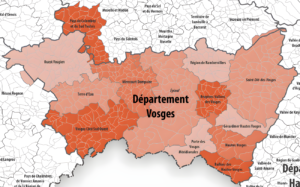 Carte des intercommunalités des Vosges