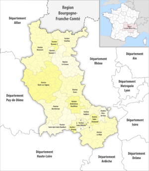 Carte des cantons du département de la Loire