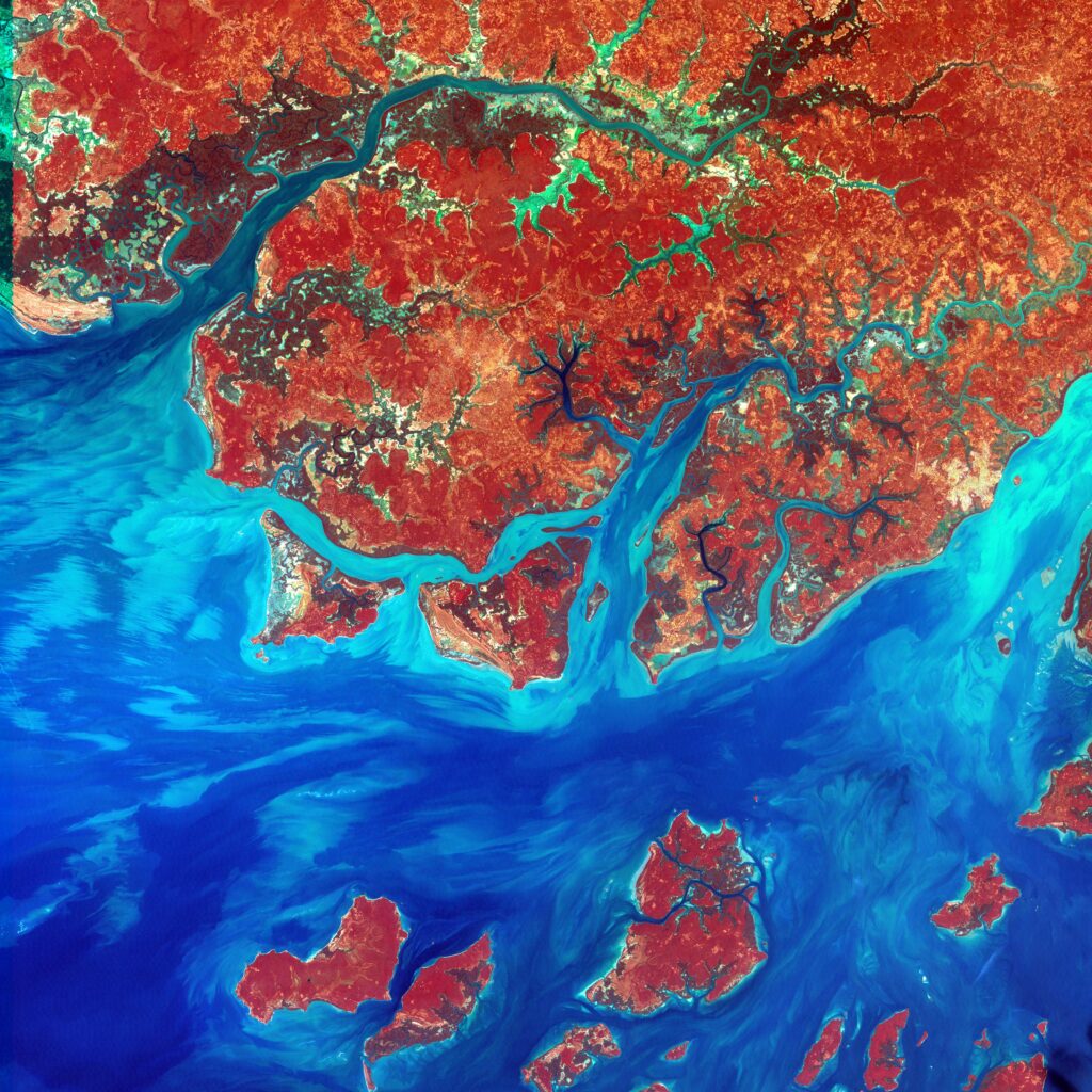 Image satellite du littoral de la Guinée-Bissau.