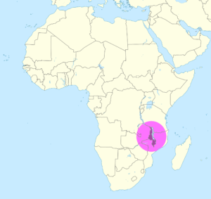 Carte de localisation du Malawi en Afrique.