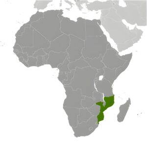 Où se trouve le Mozambique ?