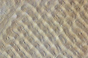 Image satellite des dunes de sable du Grand erg de Bilma