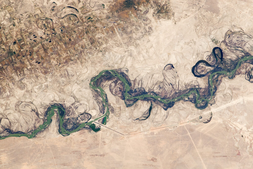 La plaine inondable du Syr-Daria en Asie centrale
