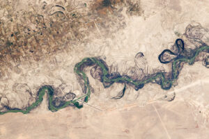 La plaine inondable du Syr-Daria en Asie centrale