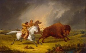 Assiniboine chassant le bison entre 1851 et 1856.