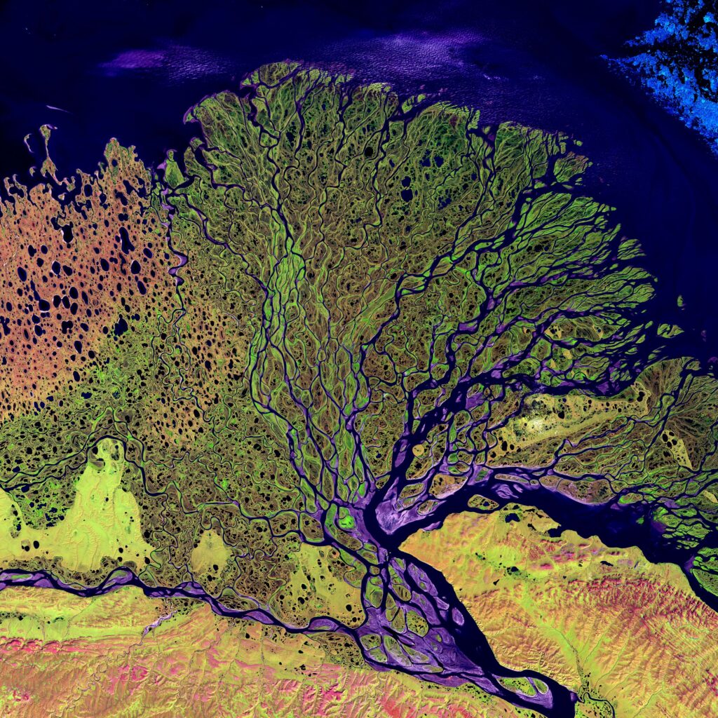 Image satellite du delta du fleuve Lena de Sibérie en Russie