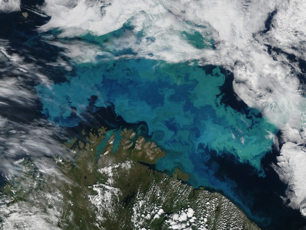 Proliférations de plancton dans la mer de Barents