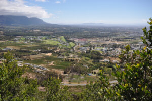 Vallée de Constantia dans la banlieue sud, métropole du Cap en Afrique du Sud.