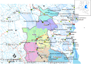 Carte des subdivisions du Maniema.