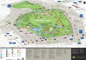 Plan de Regent's Park à Londres.