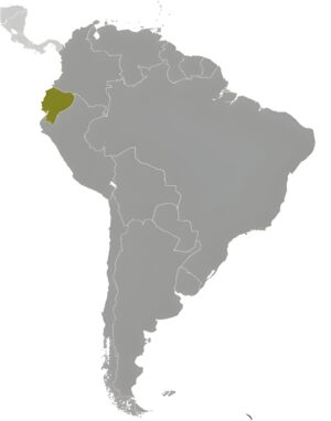 Où se trouve l’Équateur ?