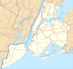 Carte vierge de New York City