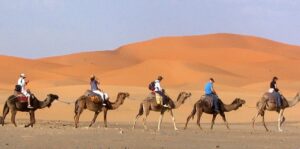 Touristes en excursion à dos de chameau dans le désert du Sahara au Maroc.