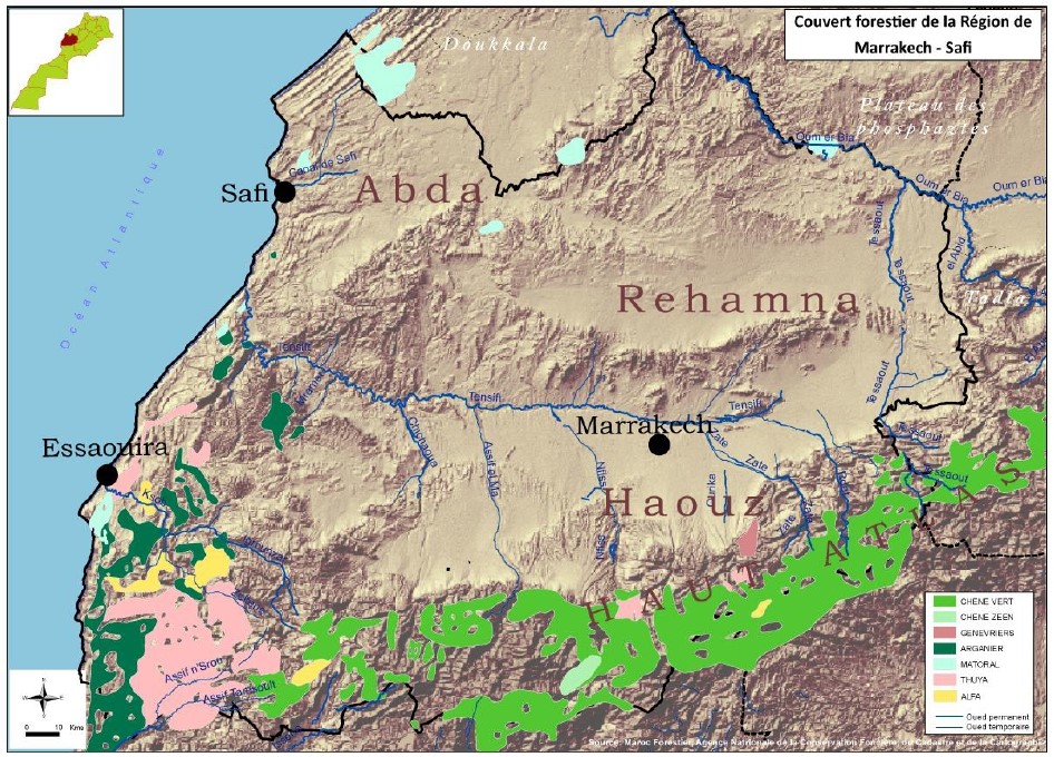 Carte du couvert forestier de Marrakech-Safi.