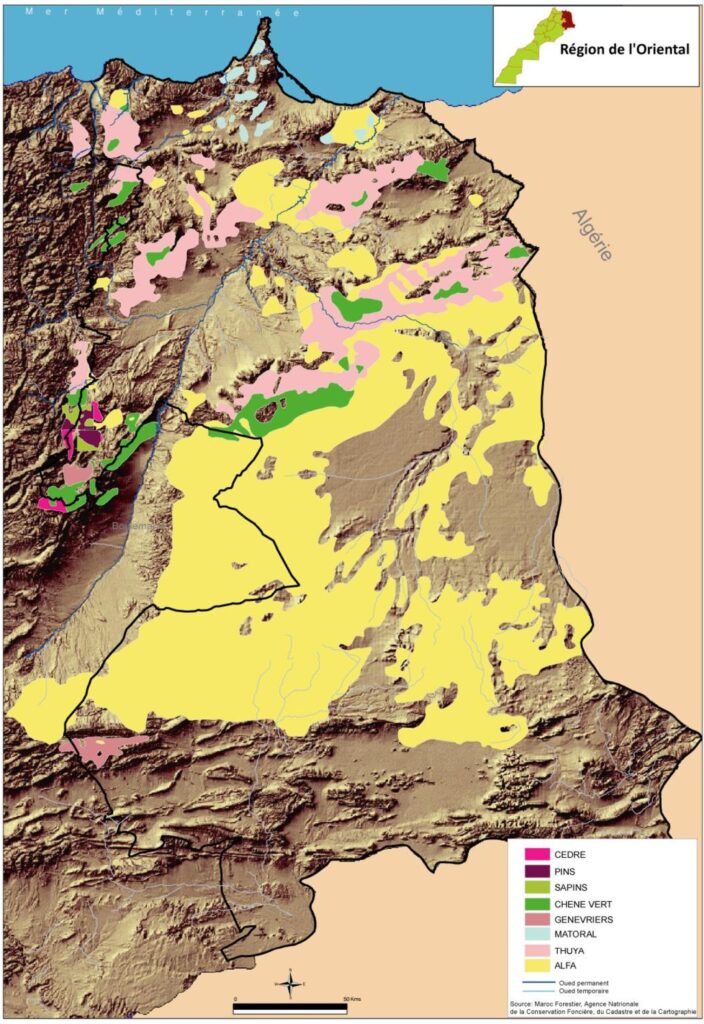 Carte du couvert forestier de la région de l’Oriental, Maroc.