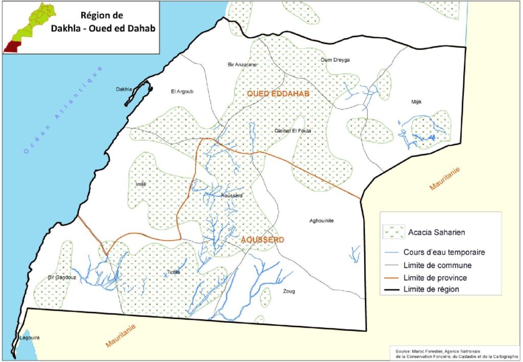 Carte du couvert végétal de Dakhla-Oued Ed-Dahab.