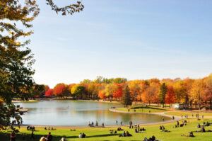 Jour d'automne Parc du Mont-Royal à Montréal.