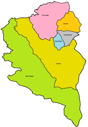 Quelles sont les communes de la wilaya d’Ouled Djellal ?