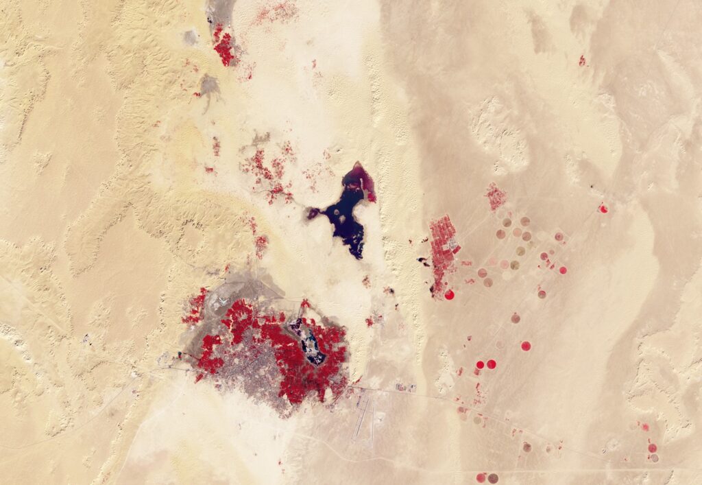 Image satellite de l'Oasis d'Ouargla.