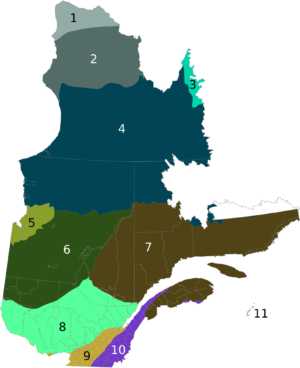 Carte des écorégions du Québec