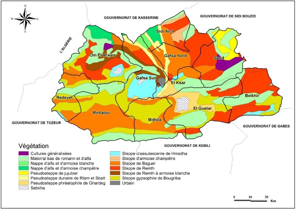 Carte de la végétation du gouvernorat de Gafsa.