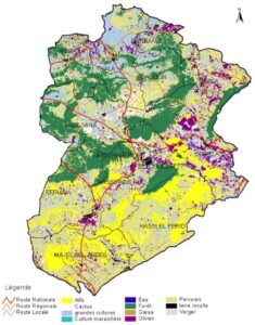 Carte d'occupation des sols dans le gouvernorat de Kasserine.