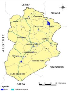 Carte des périmètres irrigués dans le gouvernorat de Kasserine.