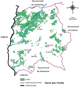 Carte des forêts du gouvernorat du Kef.