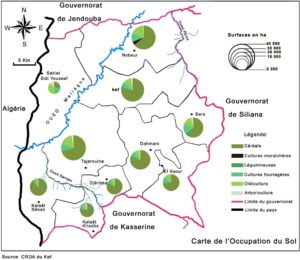 Carte de l'occupation du sol dans le gouvernorat du Kef.