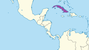 Carte de localisation de Cuba dans les Caraïbes.