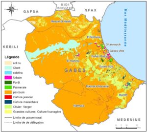 Carte de l’occupation agricole du sol dans le gouvernorat de Gabès.