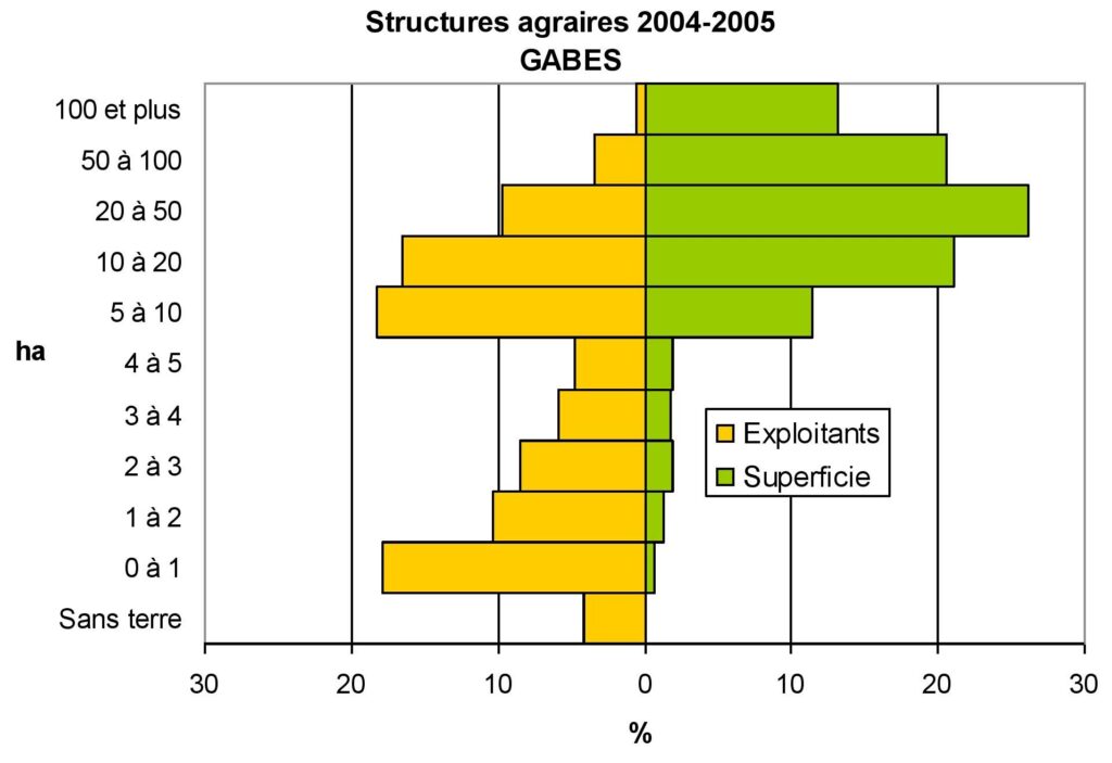 Structures agraires dans le gouvernorat de Gabès en 2004-2005.