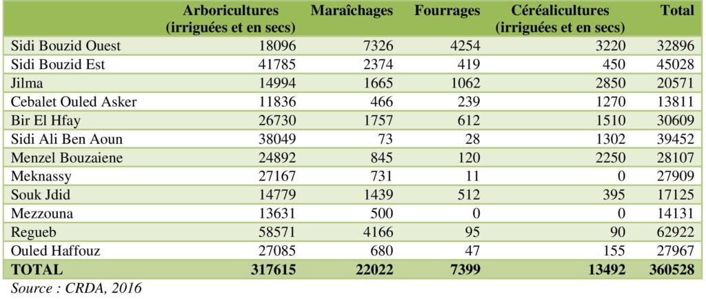 Répartition des terres exploitées en hectares dans le gouvernorat de Sidi Bouzid en 2016.