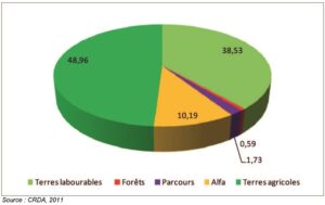 Répartition des terres selon la vocation en % dans le gouvernorat de Sidi Bouzid en 2016.