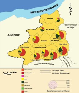Carte de répartition de la superficie agricole par type de production dans le gouvernorat de Jendouba.