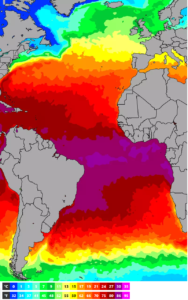 Carte de la température de l'eau de l'océan Atlantique.