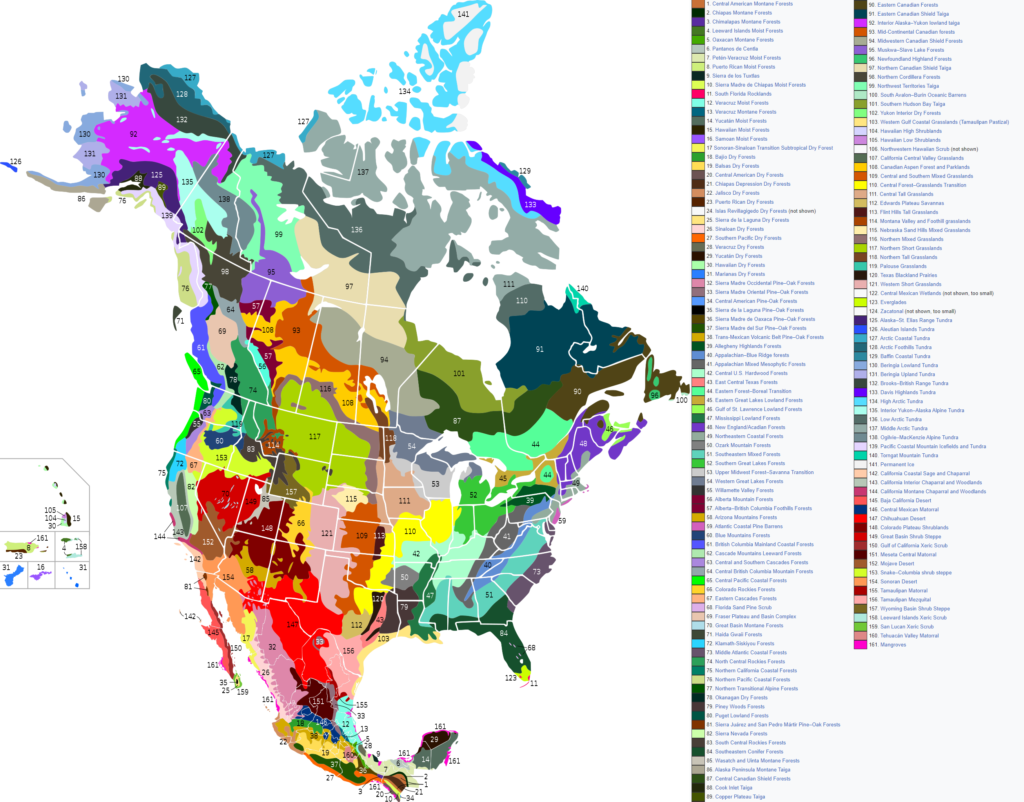 Carte des écorégions du Canada, des États-Unis et du Mexique.
