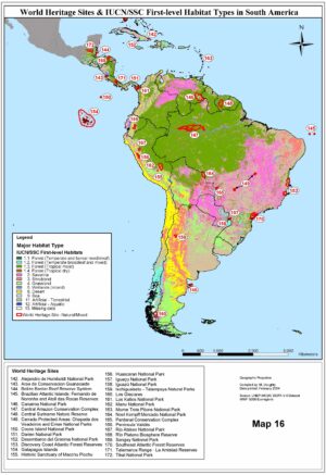Végétation d’Amérique du Sud