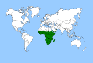Carte de l'écozone afrotropicale avec les frontières nationales.