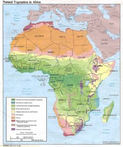 Carte de la végétation naturelle de l'Afrique.