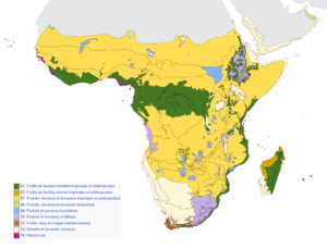 Carte des biomes de l'écozone afrotropicale.
