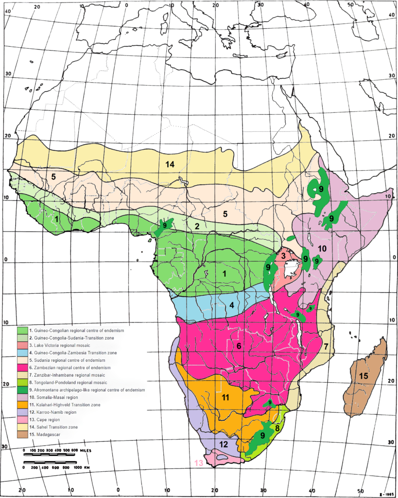 Carte des principales phytochories d'Afrique.