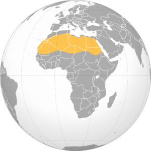 Carte de localisation du désert du Sahara.