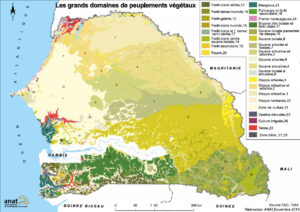 Carte des grands domaines de peuplements végétaux au Sénégal.