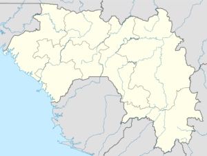 Carte vierge de la Guinée